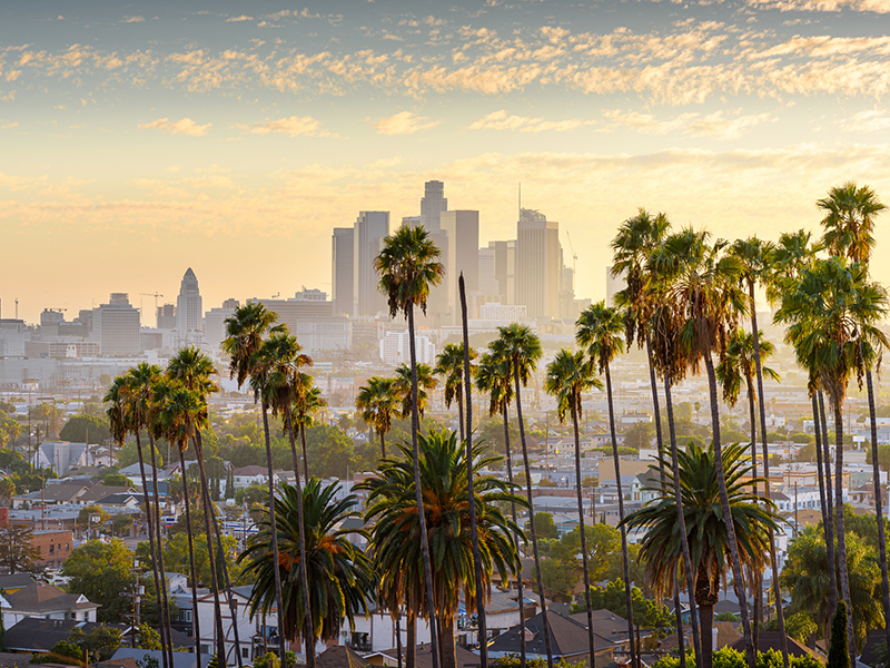 Hollywood